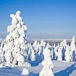 Rovavisit Siljo Rovaniemi
