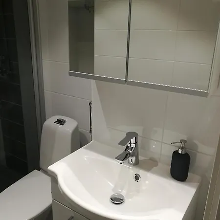 Apartment Rovavisit Siljo