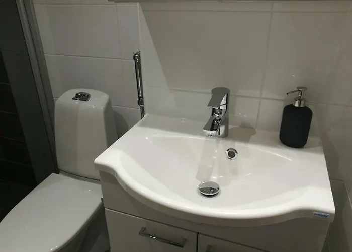 Rovavisit Siljo Rovaniemi