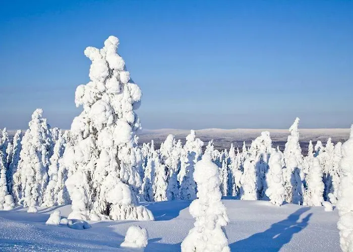 Rovavisit Siljo Rovaniemi