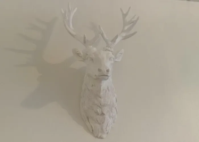 Rovavisit Siljo Apartamento