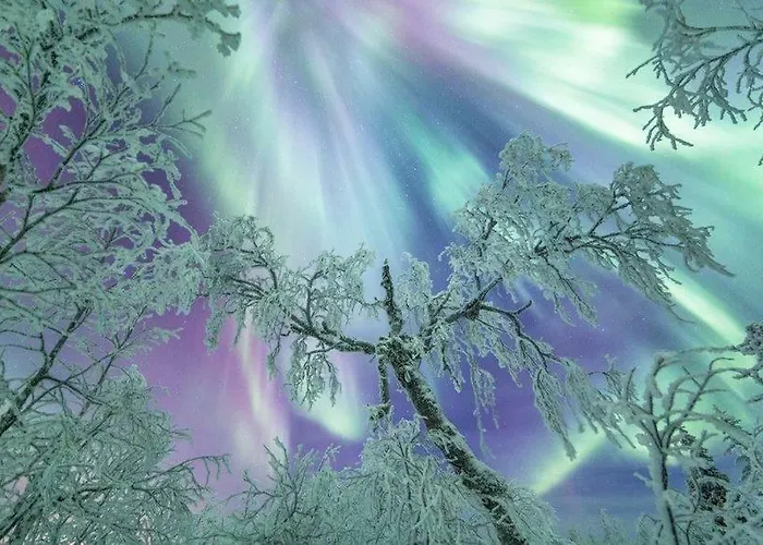 Rovavisit Siljo Apartamento *