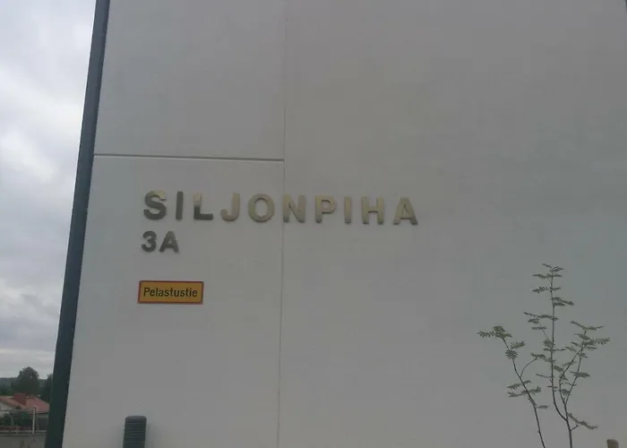 Rovavisit Siljo